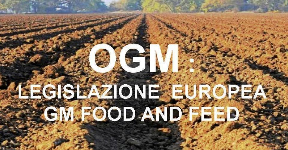 OGM: Legislazione europea GM food and feed