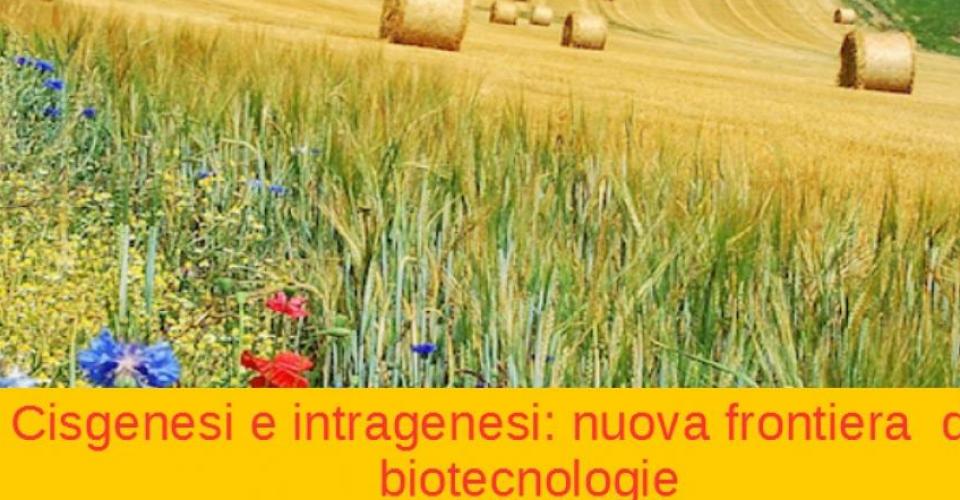 Cisgenesi e intragenesi: nuova frontiera delle biotecnologie