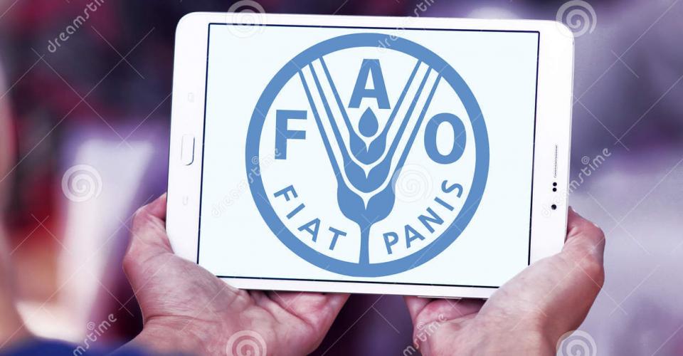 Ortofrutta gettata nella immondizia, la FAO dichiara guerra allo spreco alimentare